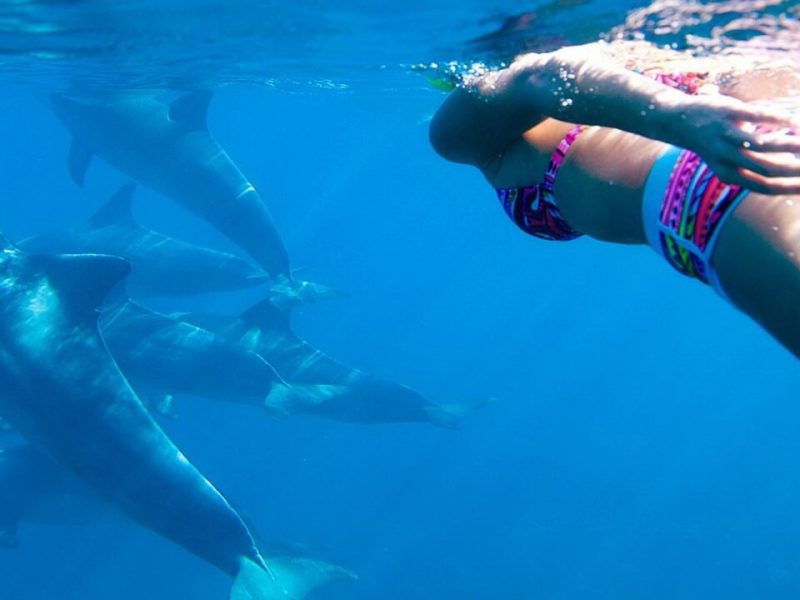 ZTrans, Taxi and Tours - Zanzibar tours - Dolphin tour