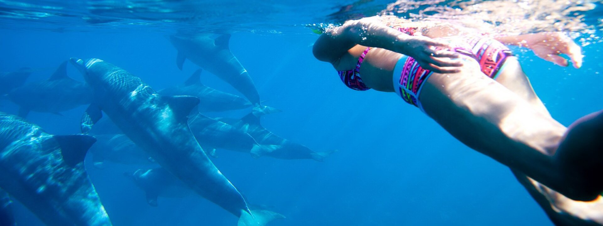 ZTrans, Taxi and Tours - Zanzibar tours - Dolphin tour