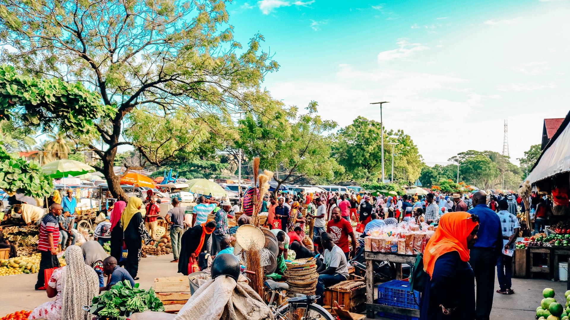 ZTrans - Best Zanzibar taxi and tours - Top reasons to visit Zanzibar islands